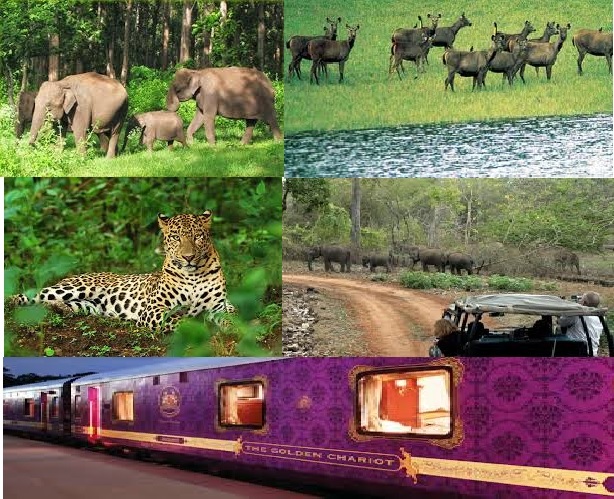 Luxury Train Trip on Golden Chariot