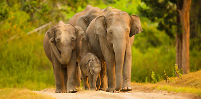 Glimpses of Karnataka